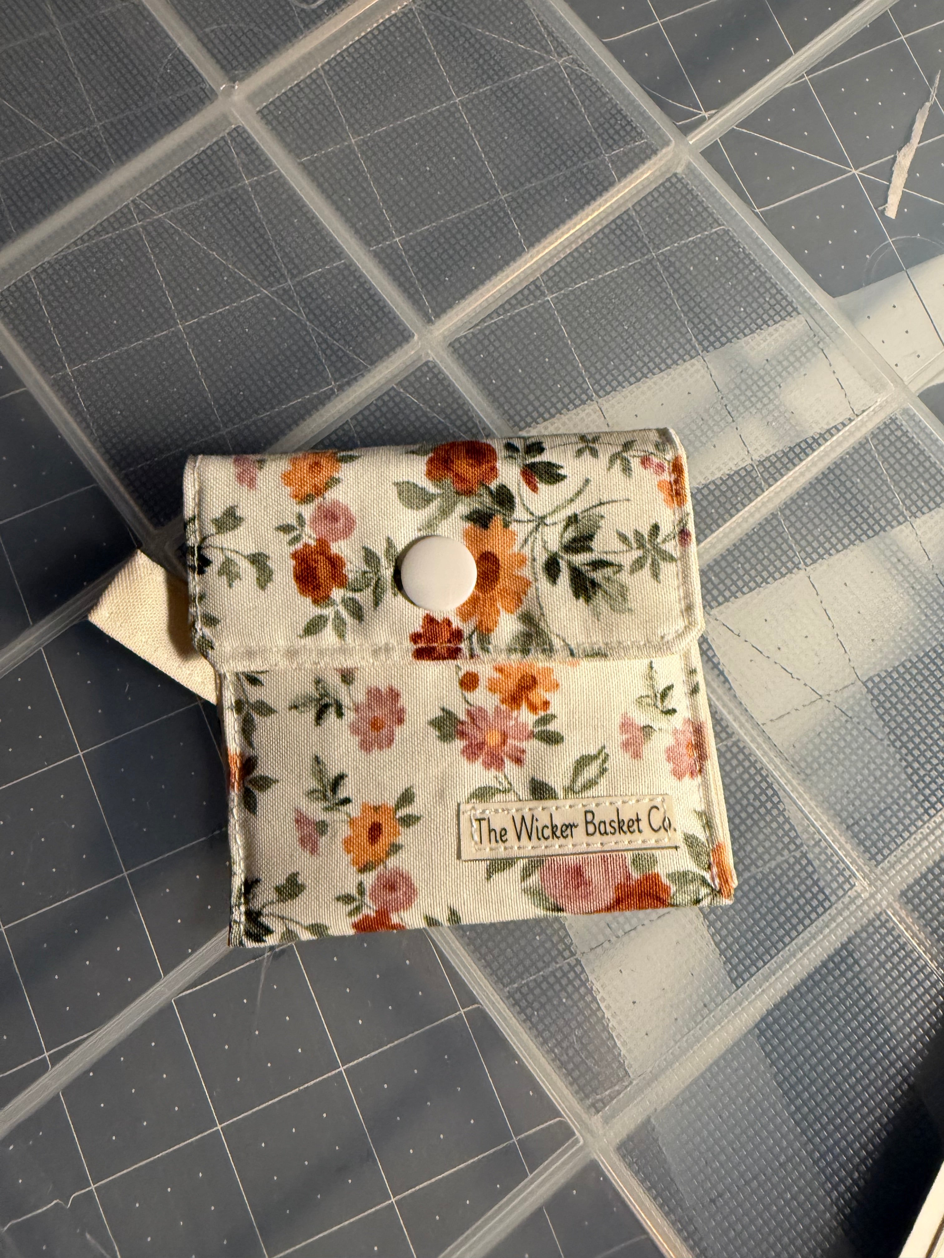 Prairie AirPod Case