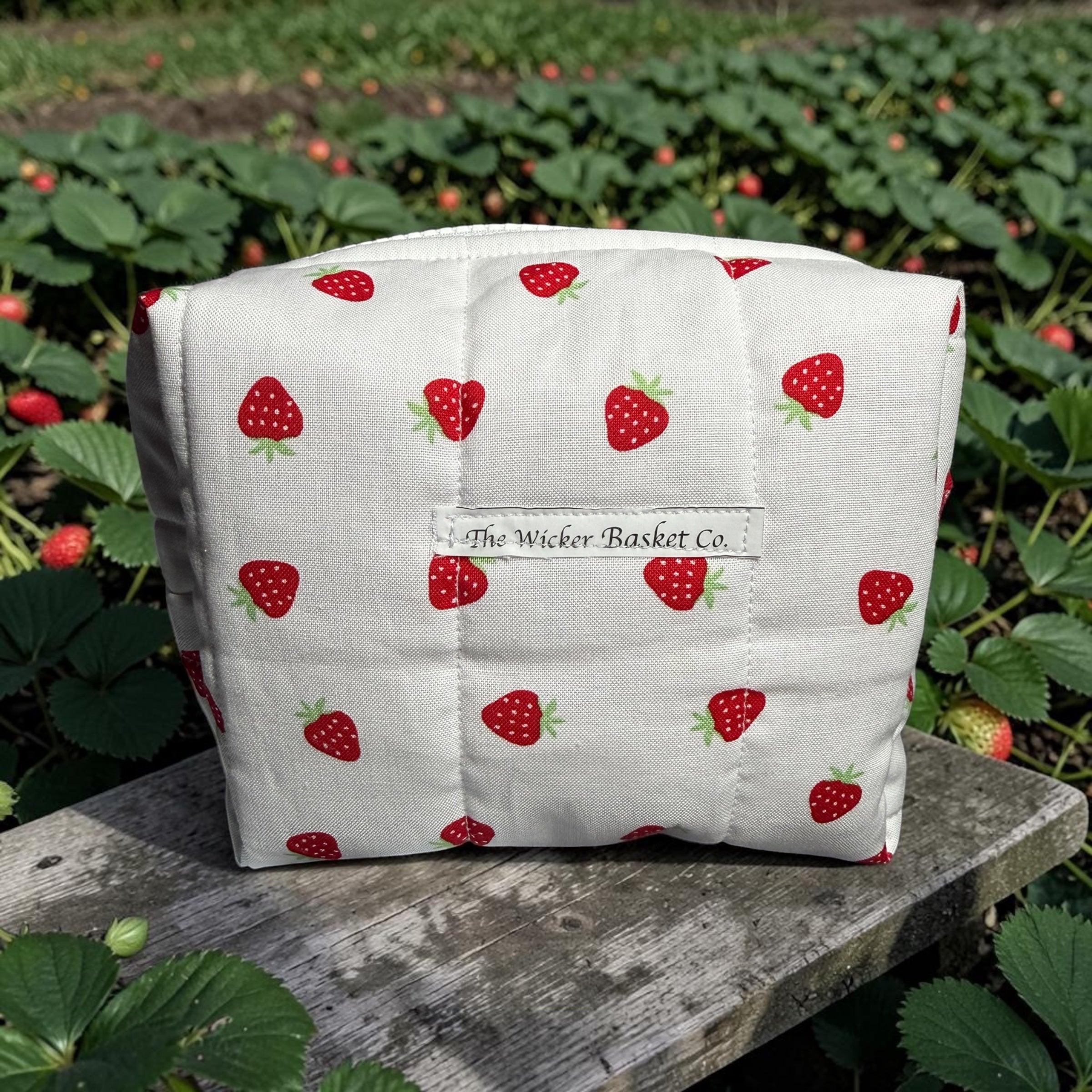 Strawberry Jam Medium Makeup Bag