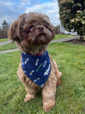 Game Day Buddy Scrunchie Bandana
